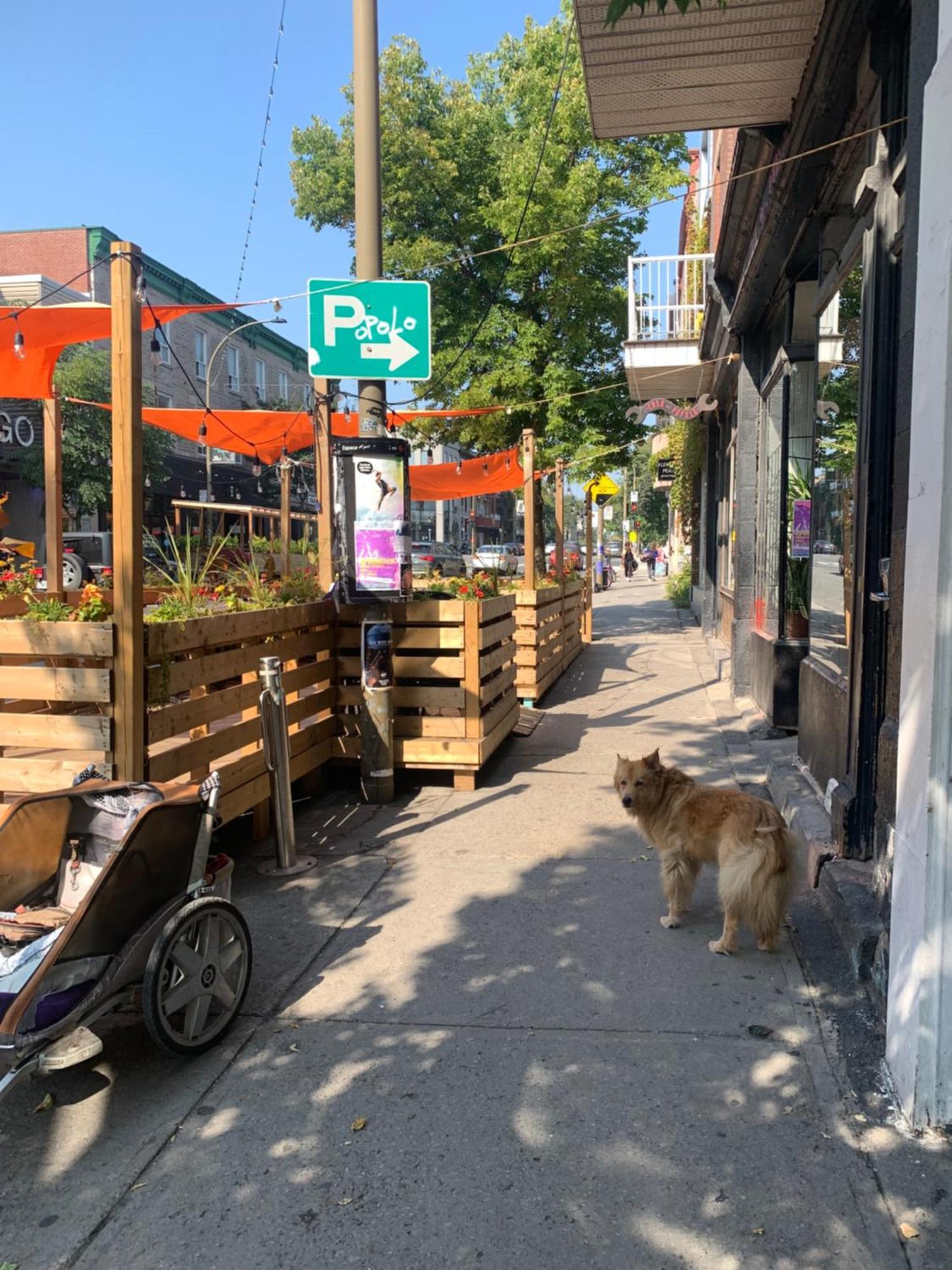 Pensione Popolo Montréal Eksteriør billede